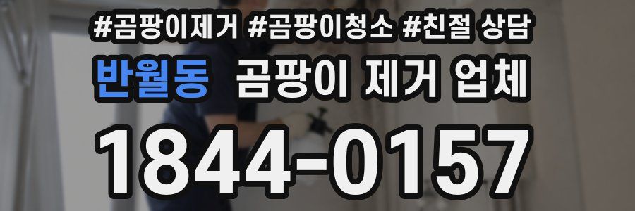 반월동 곰팡이 제거 업체