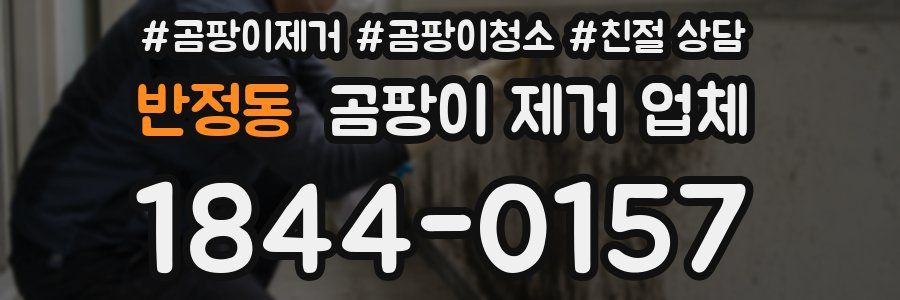 반정동 곰팡이 제거 업체