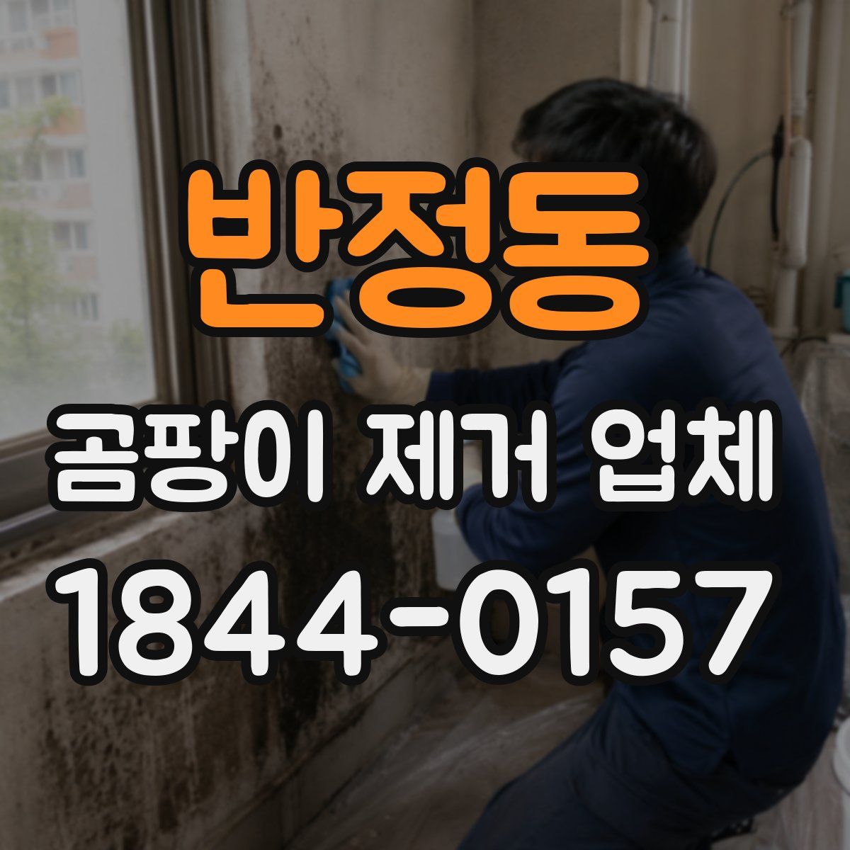 반정동 곰팡이 제거 업체