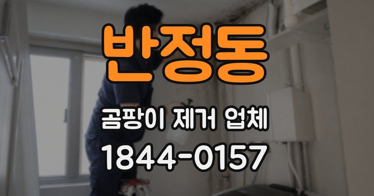 반정동 곰팡이 제거 업체