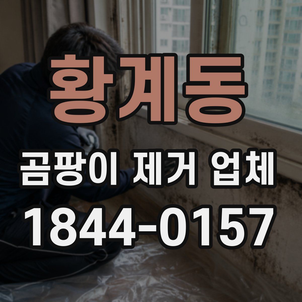 황계동 곰팡이 제거 업체