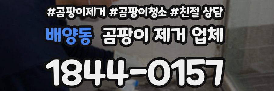 배양동 곰팡이 제거 업체