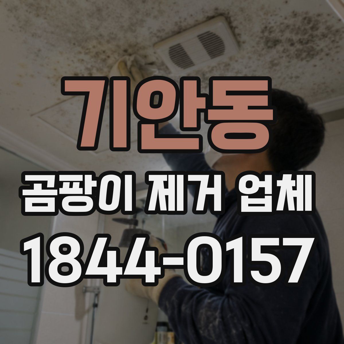 기안동 곰팡이 제거 업체