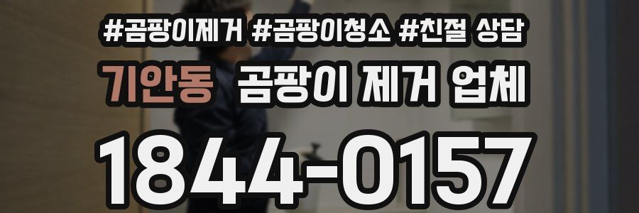 기안동 곰팡이 제거 업체
