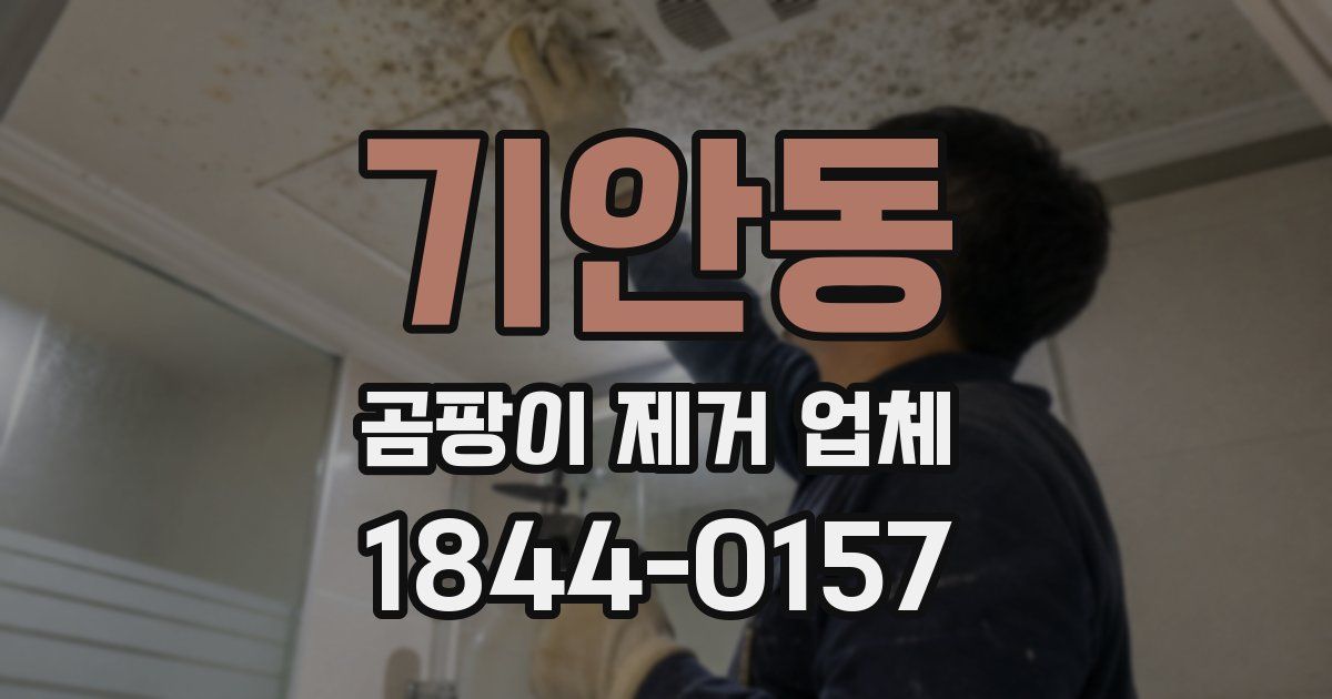 기안동 곰팡이 제거 업체