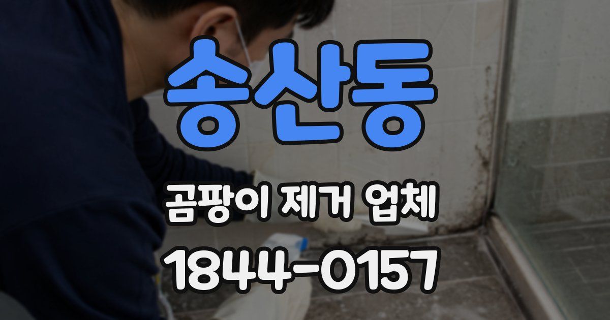 송산동 곰팡이 제거 업체