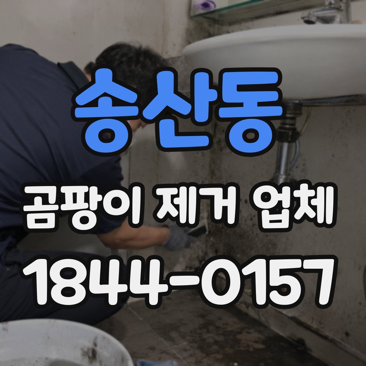 송산동 곰팡이 제거 업체