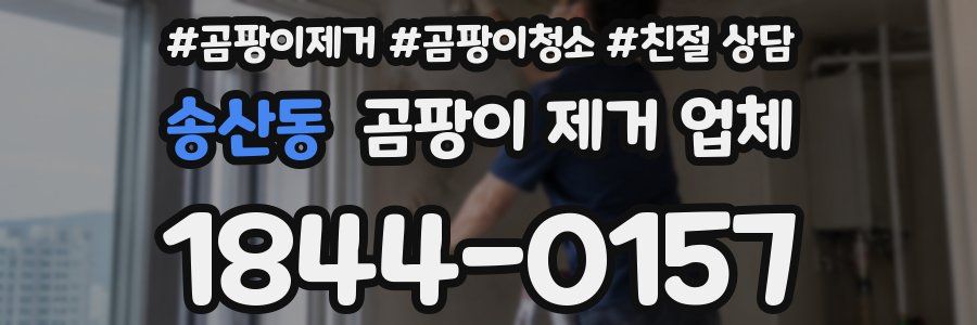 송산동 곰팡이 제거 업체