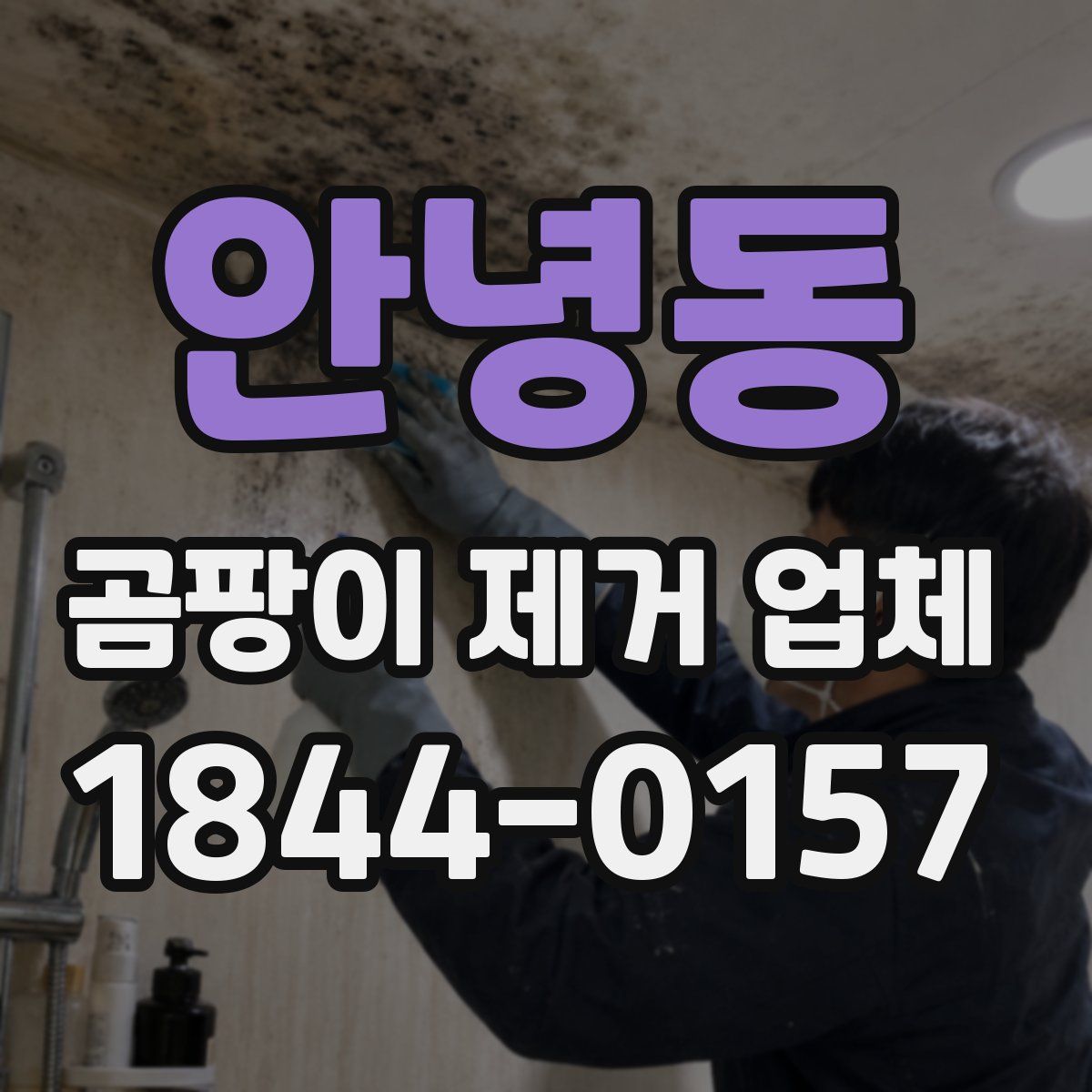 안녕동 곰팡이 제거 업체