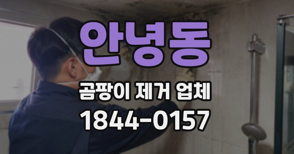 안녕동 곰팡이 제거 업체