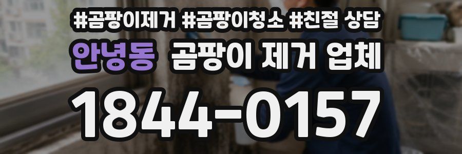 안녕동 곰팡이 제거 업체