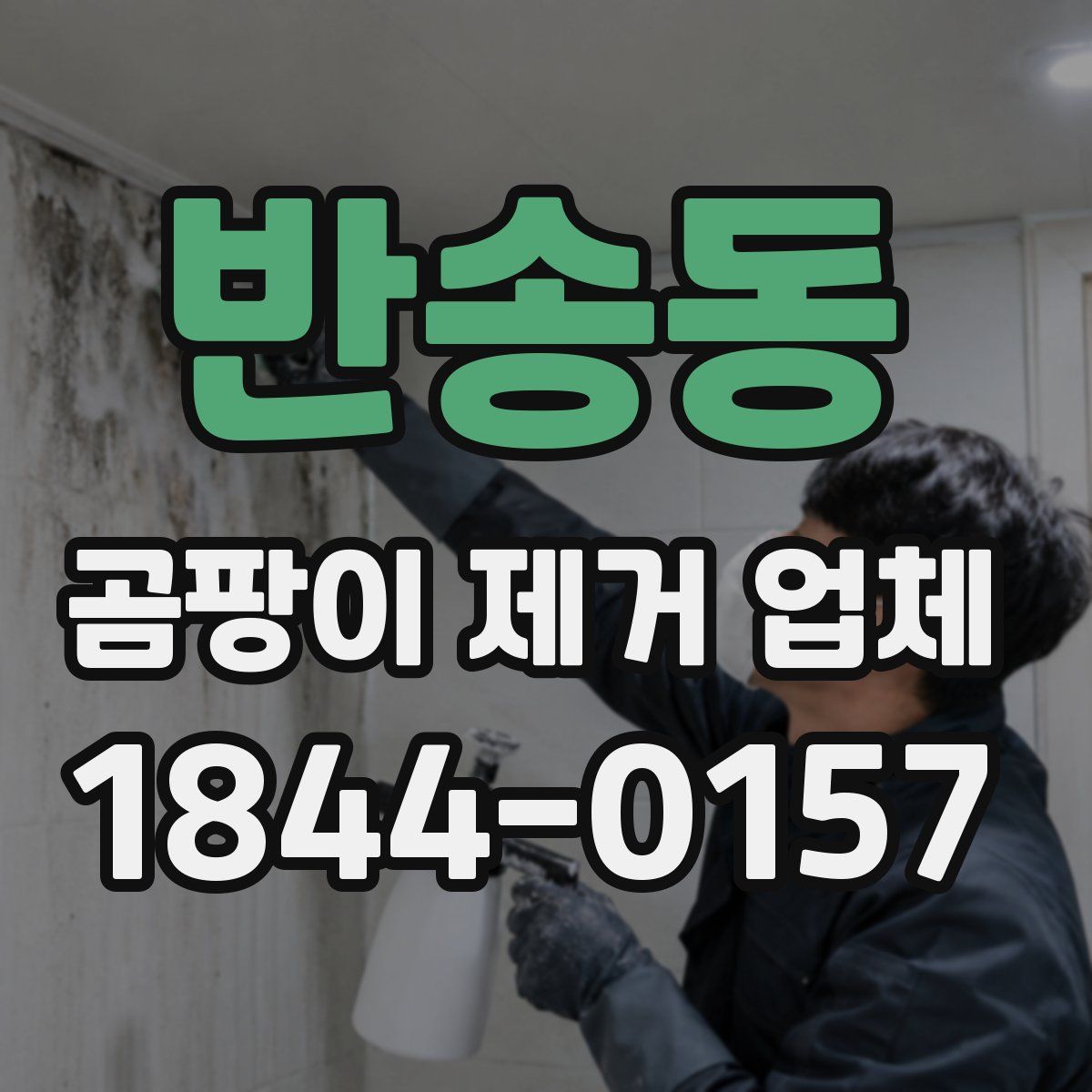 반송동 곰팡이 제거 업체
