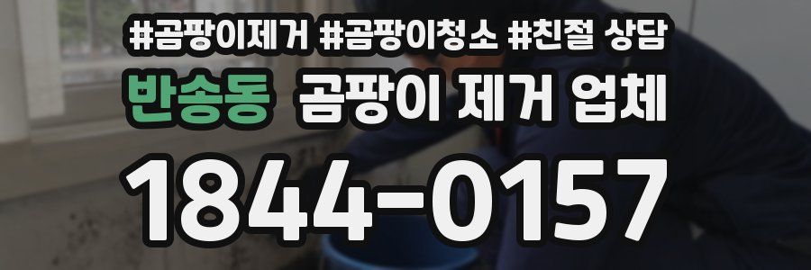 반송동 곰팡이 제거 업체