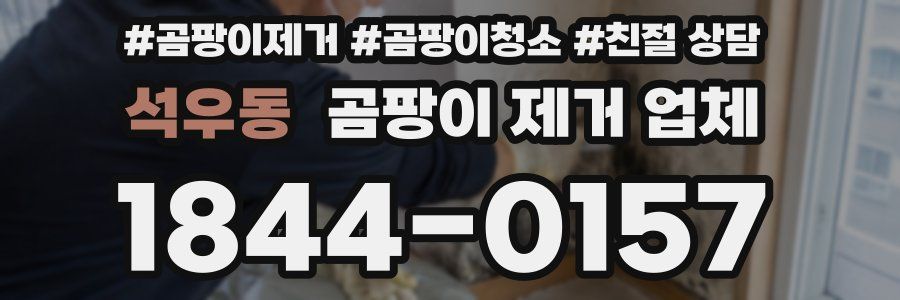 석우동 곰팡이 제거 업체