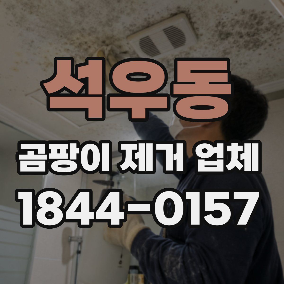 석우동 곰팡이 제거 업체
