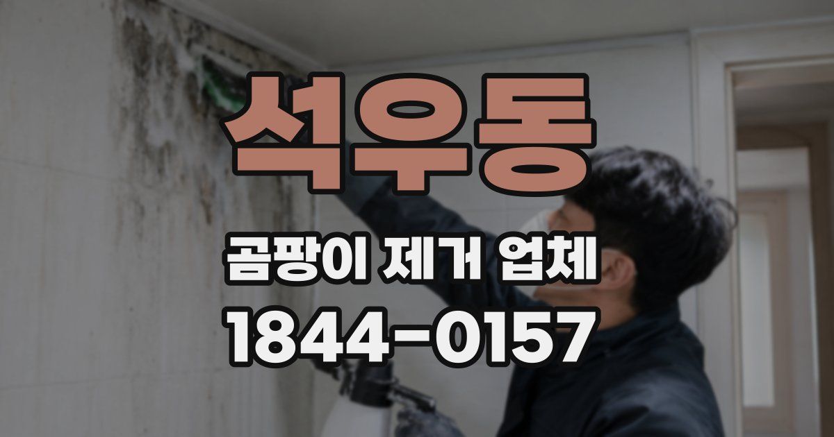 석우동 곰팡이 제거 업체