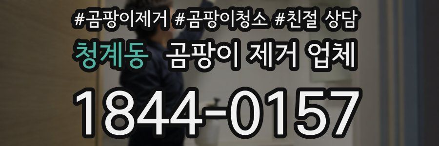 청계동 곰팡이 제거 업체