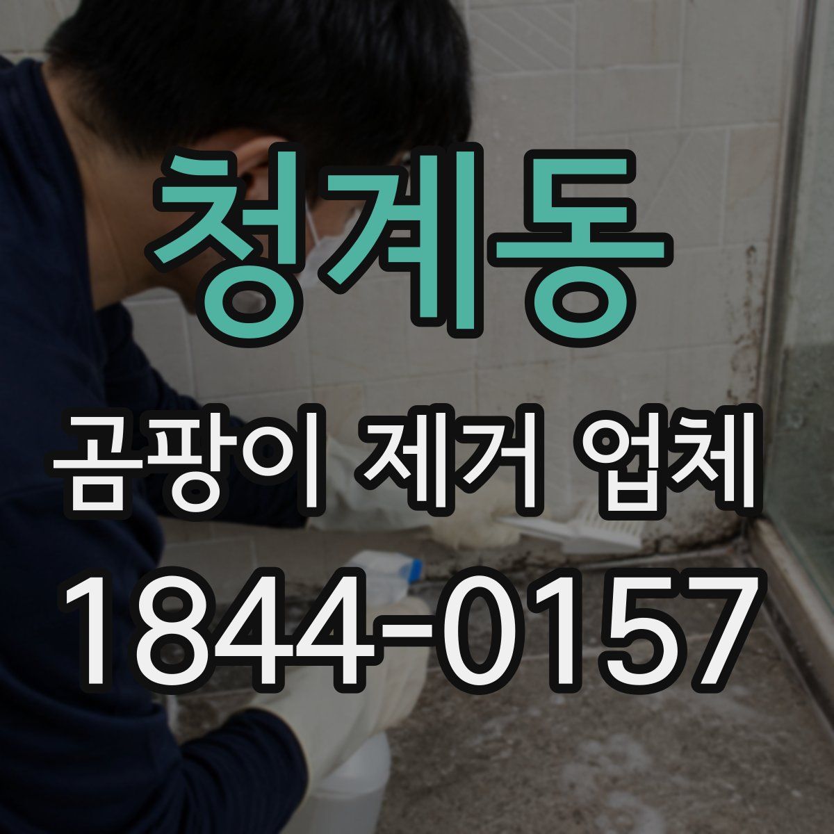 청계동 곰팡이 제거 업체