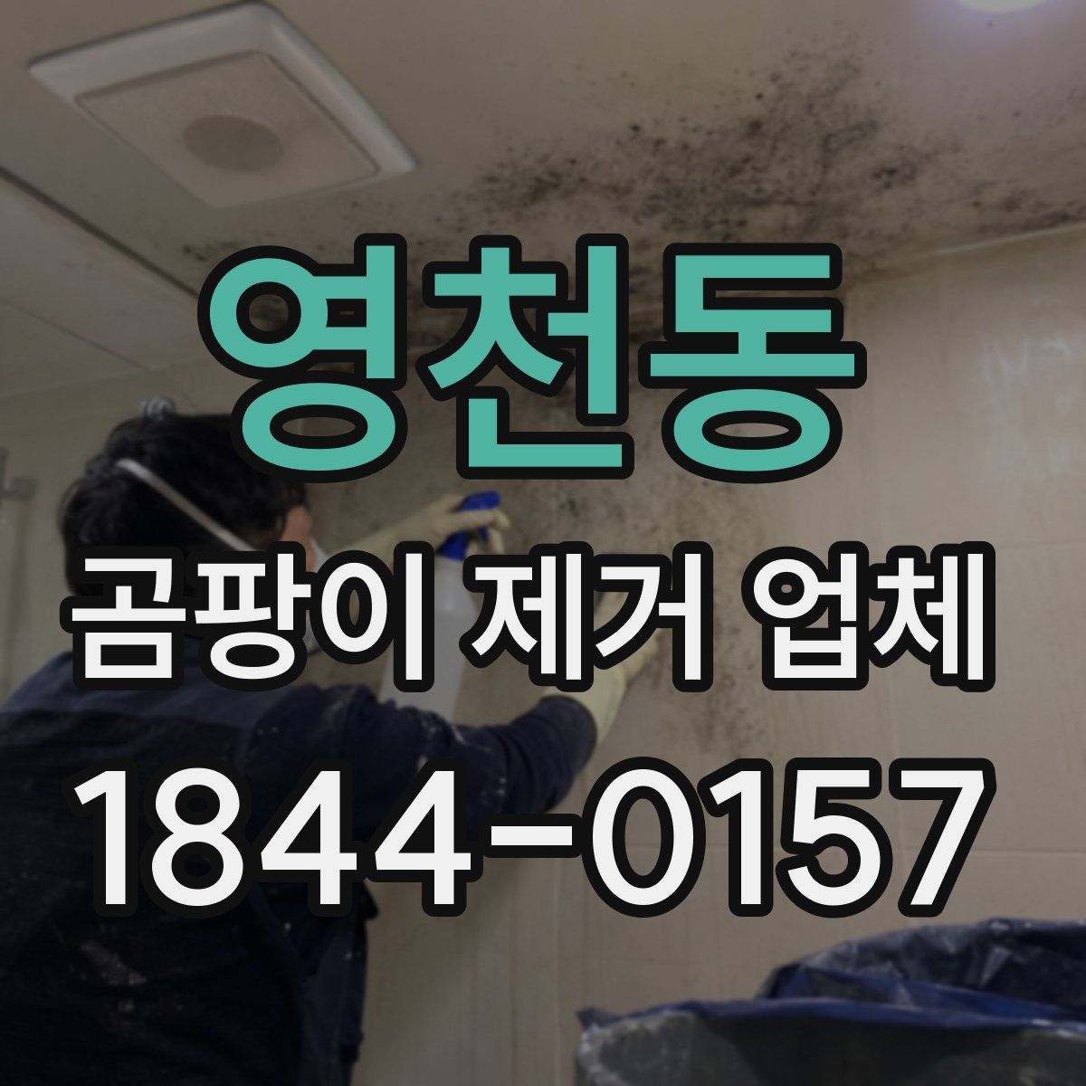 영천동 곰팡이 제거 업체