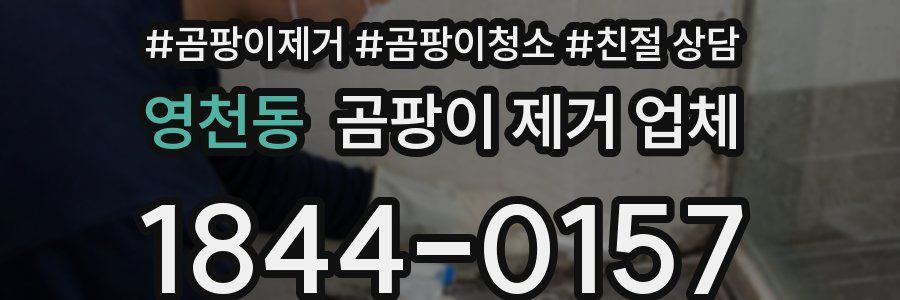 영천동 곰팡이 제거 업체
