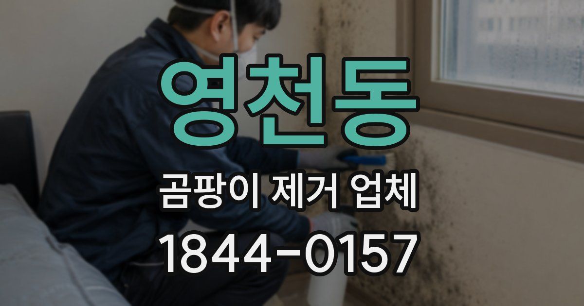 영천동 곰팡이 제거 업체