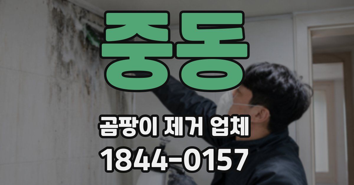중동 곰팡이 제거 업체