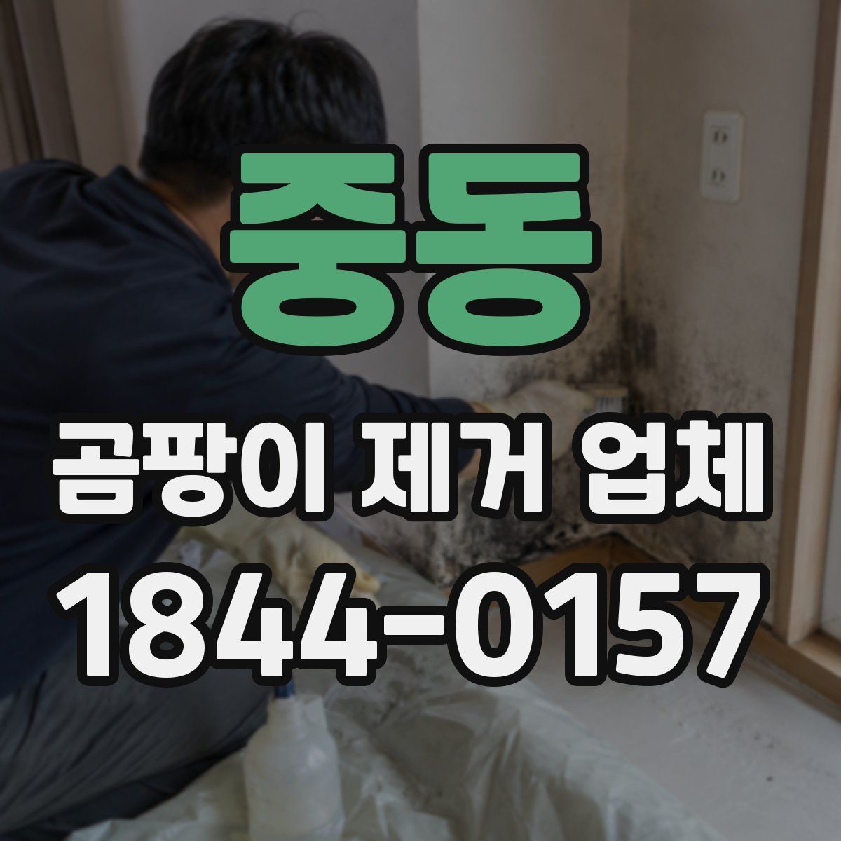 중동 곰팡이 제거 업체
