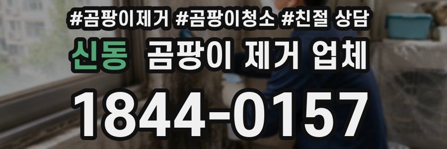 신동 곰팡이 제거 업체