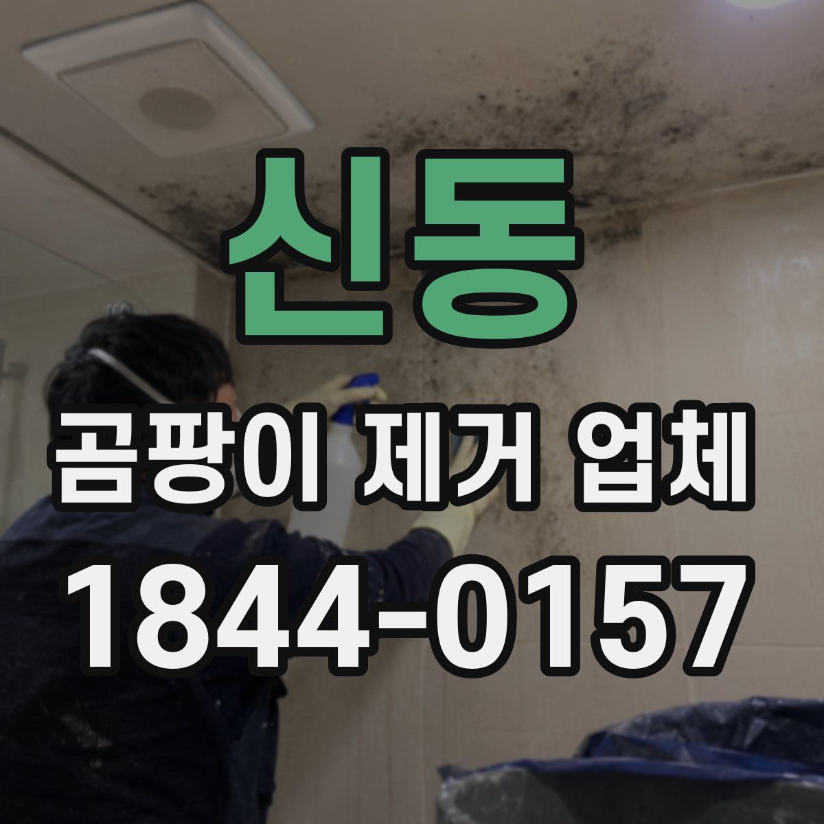 신동 곰팡이 제거 업체