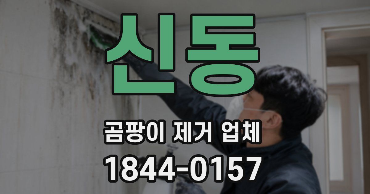 신동 곰팡이 제거 업체