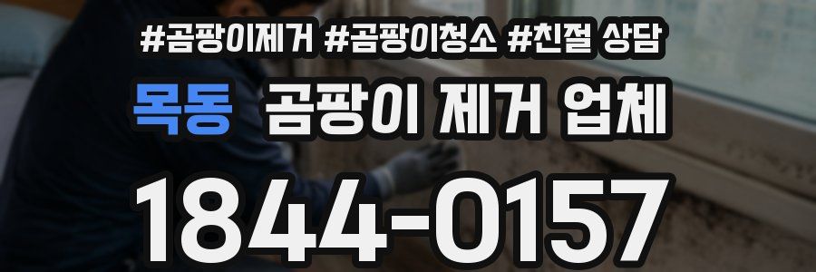 목동 곰팡이 제거 업체