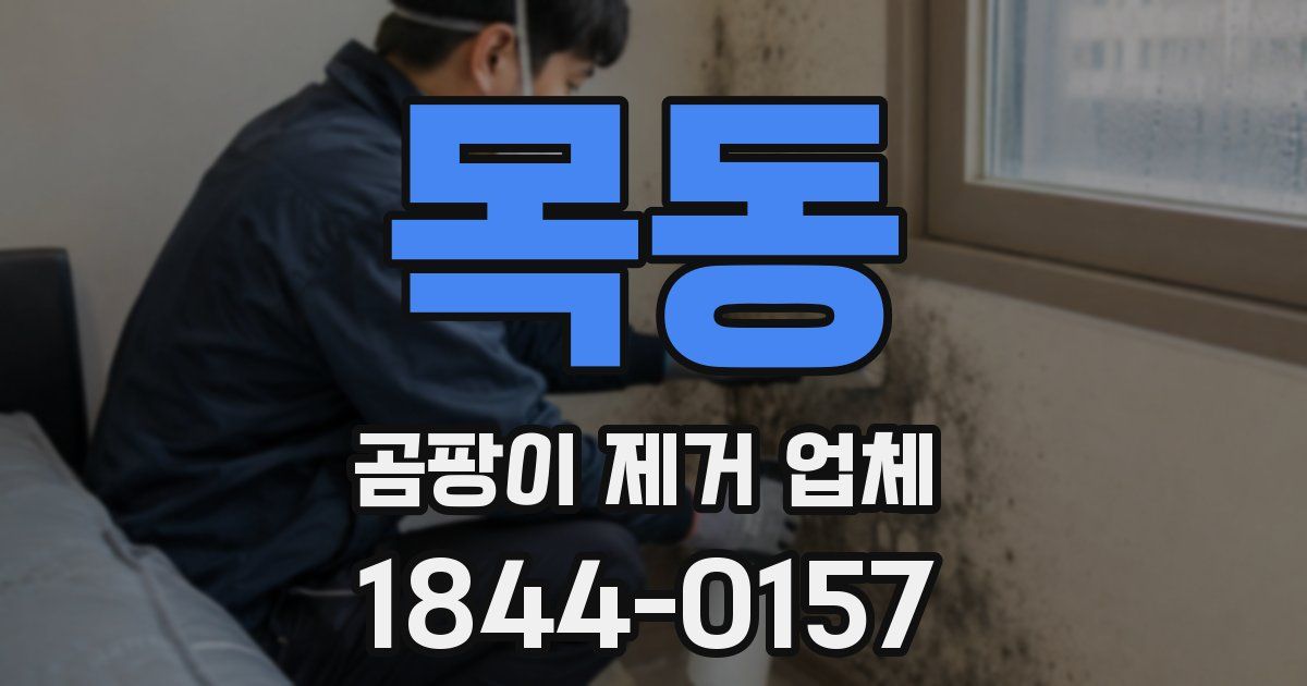 목동 곰팡이 제거 업체