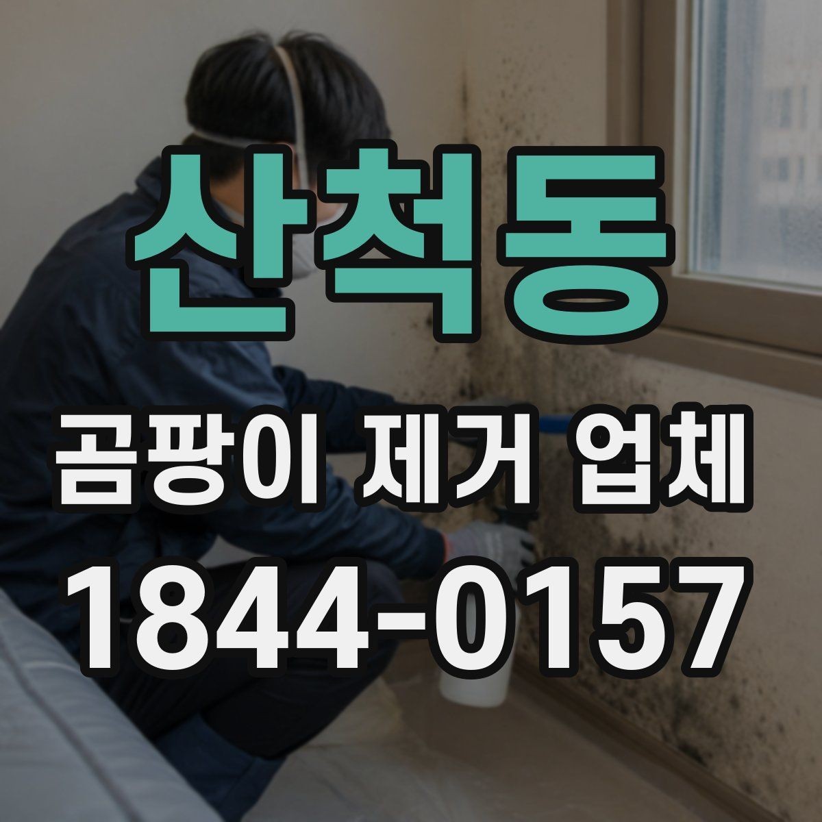 산척동 곰팡이 제거 업체 이용 전후로 비교해야 할 부분