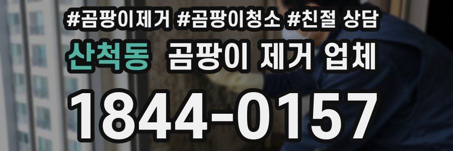 산척동 곰팡이 제거 업체