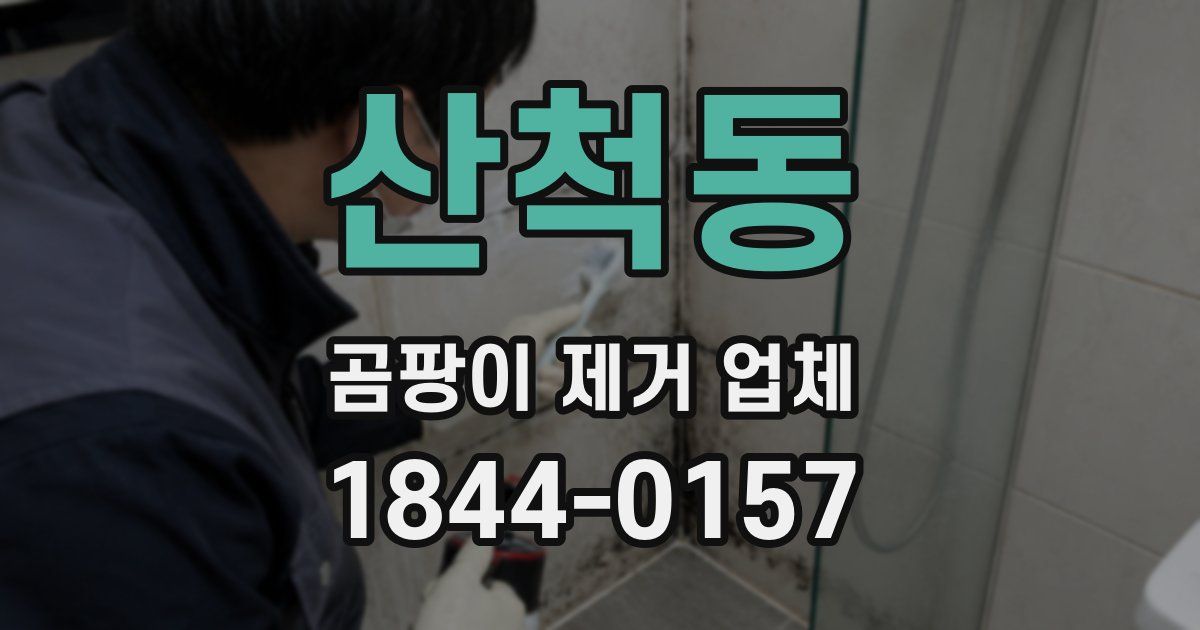 산척동 곰팡이 제거 업체