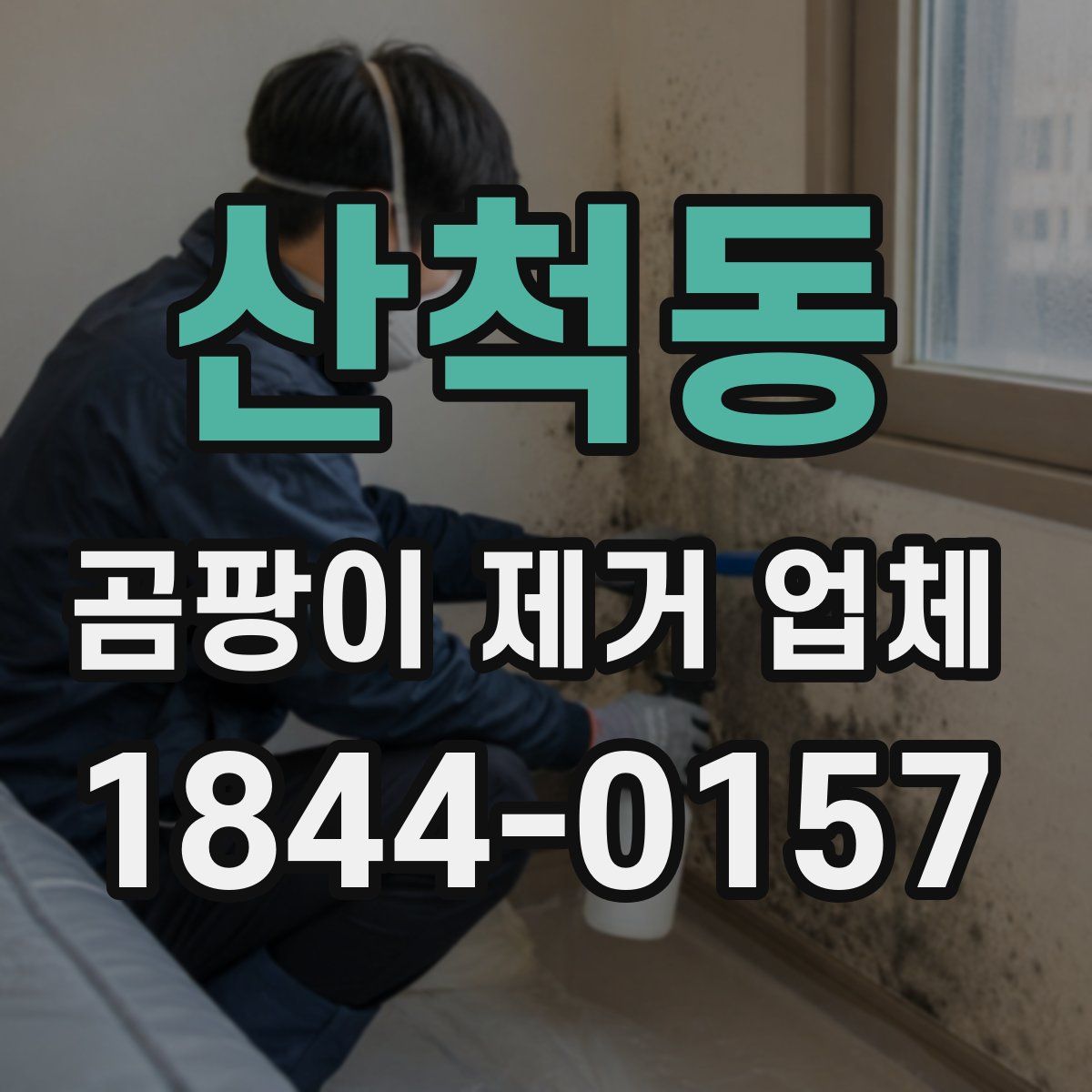 산척동 곰팡이 제거 업체