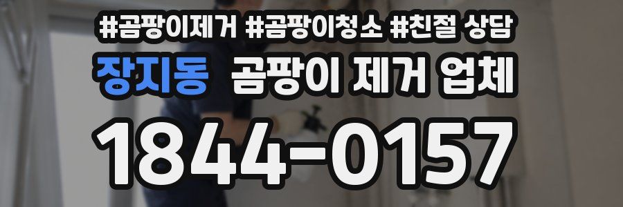 장지동 곰팡이 제거 업체