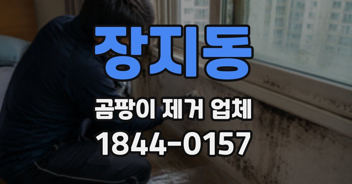 장지동 곰팡이 제거 업체