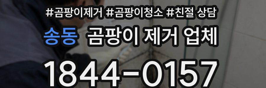 송동 곰팡이 제거 업체