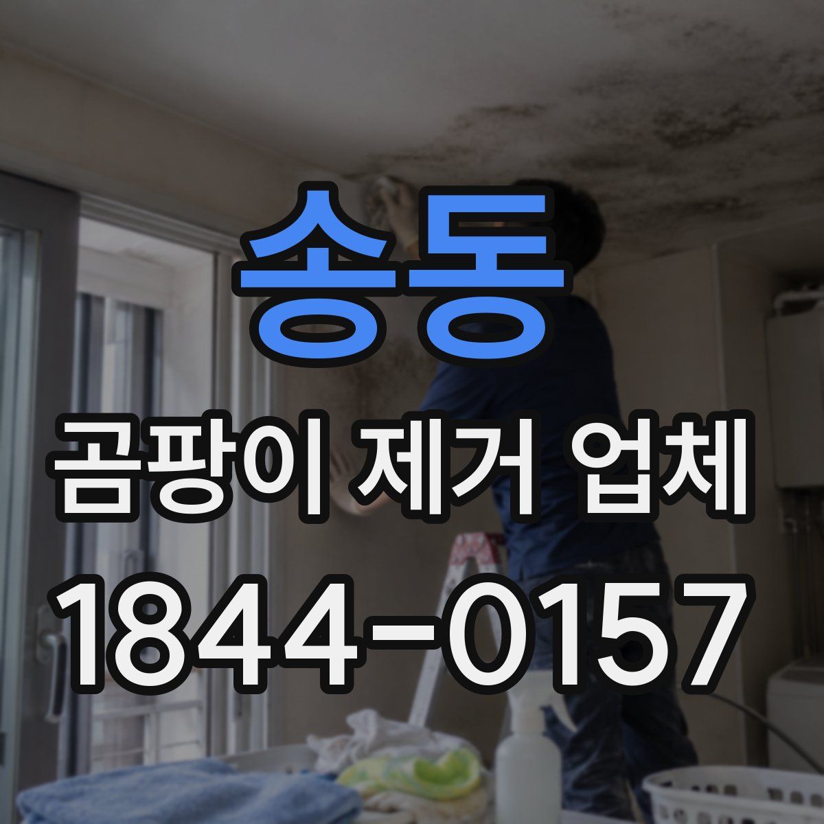 송동 곰팡이 제거 업체