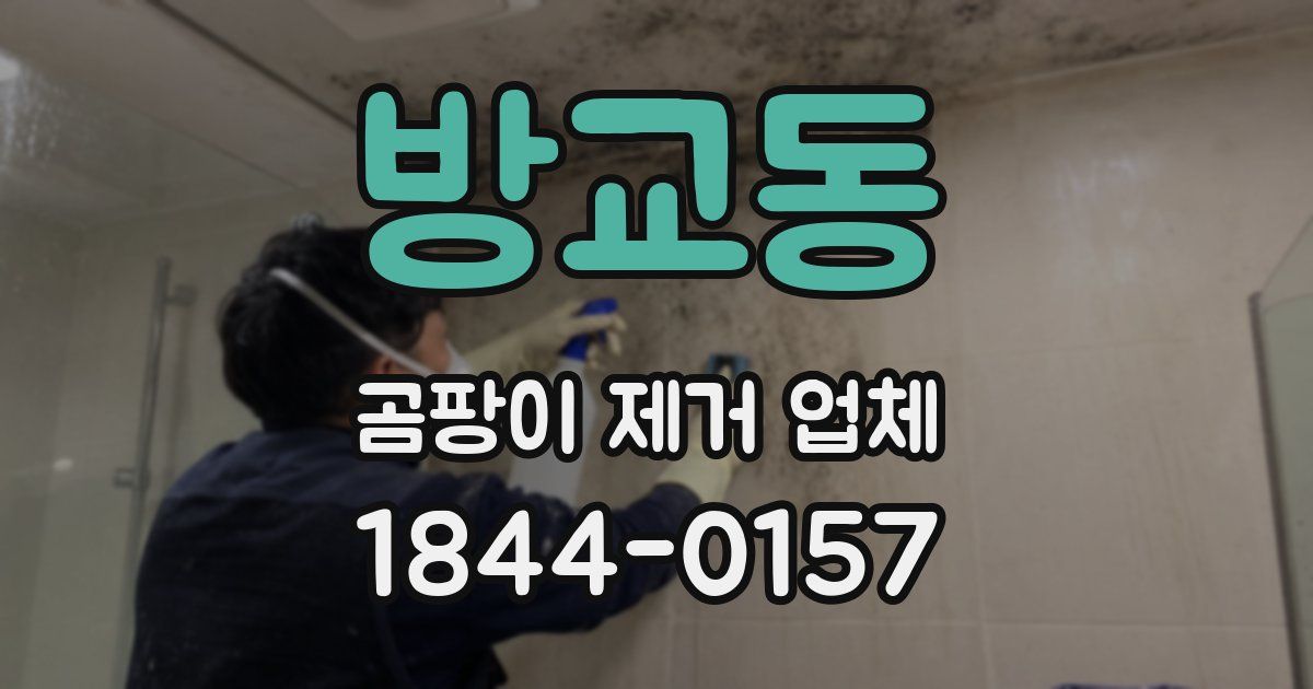 방교동 곰팡이 제거 업체