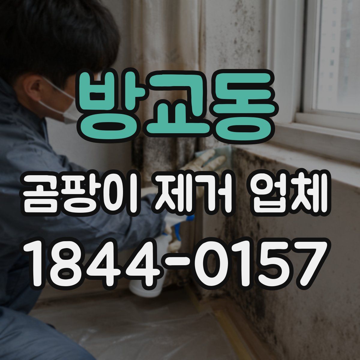 방교동 곰팡이 제거 업체