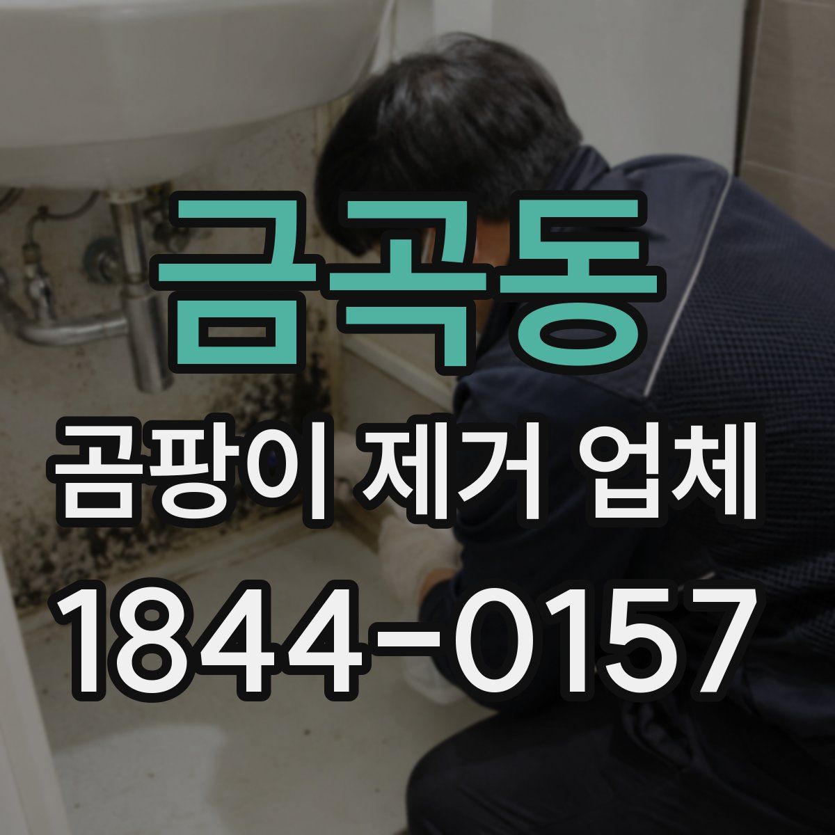 금곡동 곰팡이 제거 업체