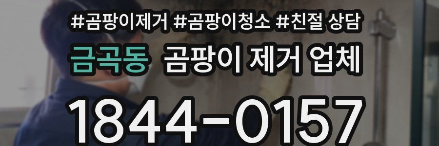 금곡동 곰팡이 제거 업체