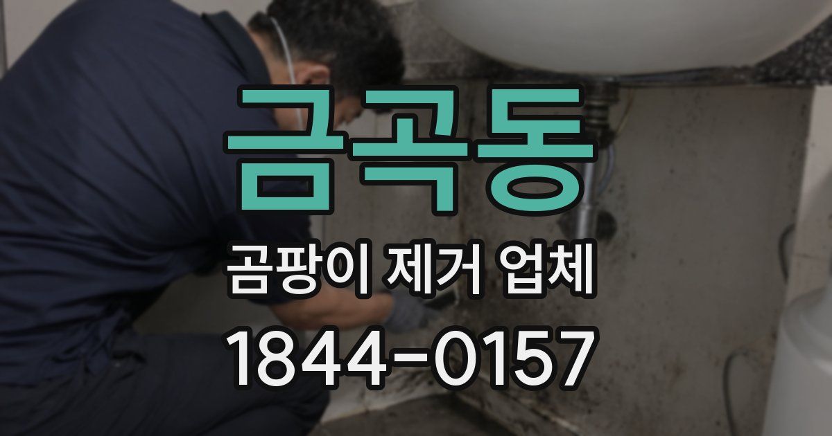 금곡동 곰팡이 제거 업체