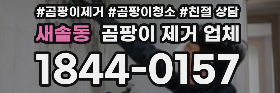 새솔동 곰팡이 제거 업체