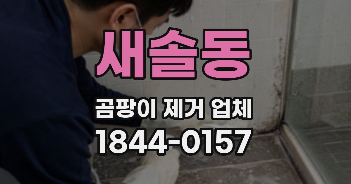 새솔동 곰팡이 제거 업체