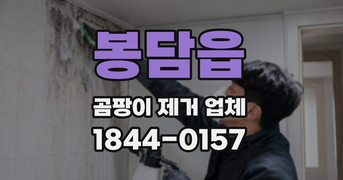 봉담읍 곰팡이 제거 업체