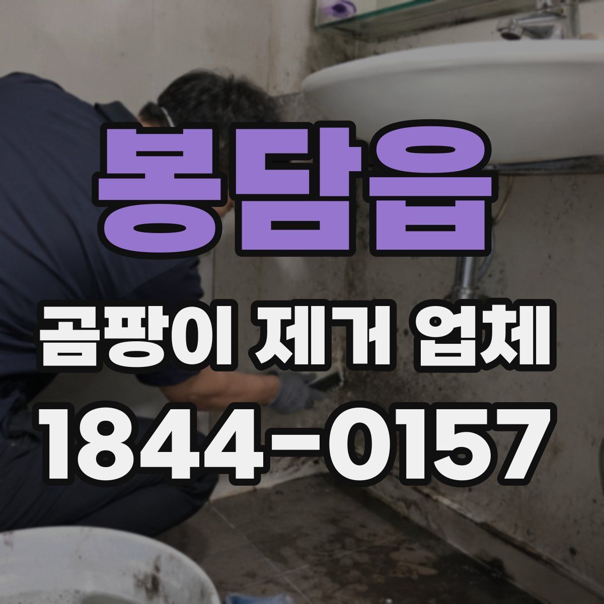 봉담읍 곰팡이 제거 업체