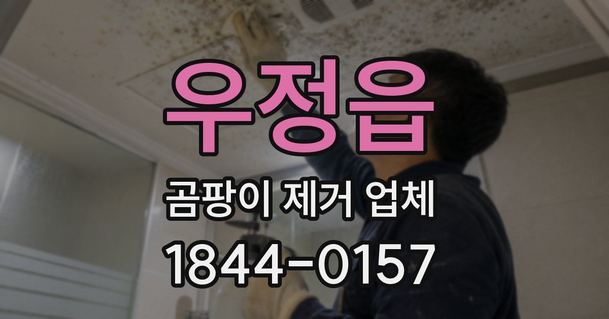 우정읍 곰팡이 제거 업체
